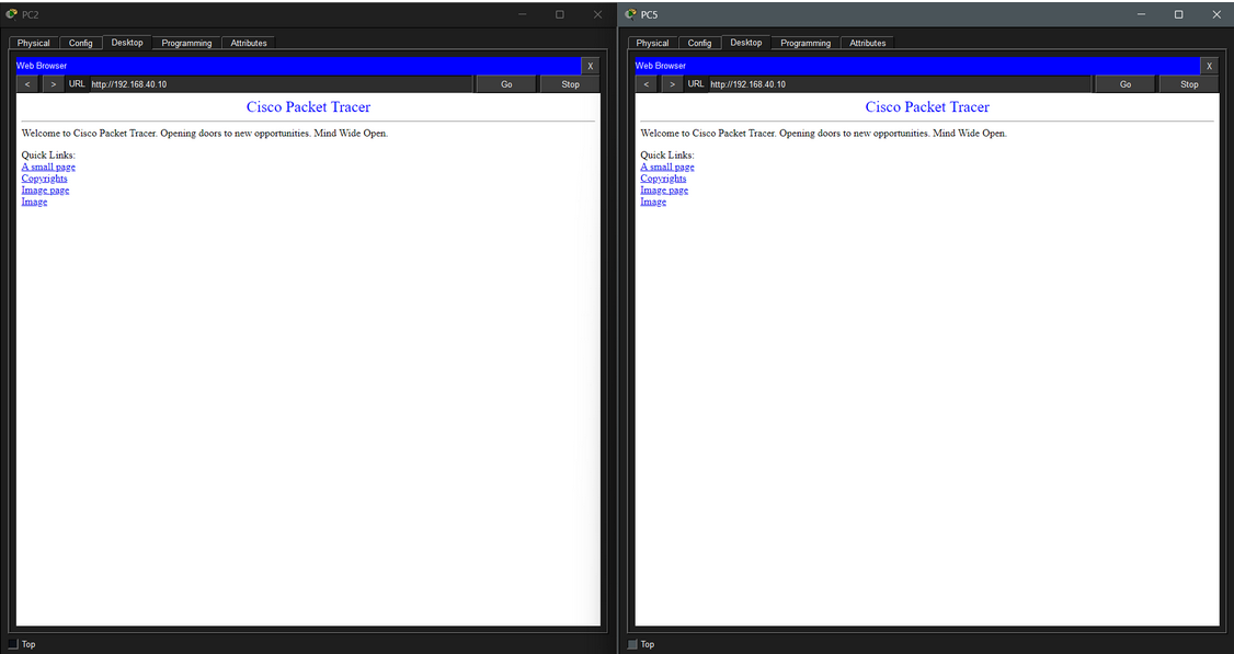 Design and Implementation of a Small Enterprise Network — Access to Web Servers screenshot